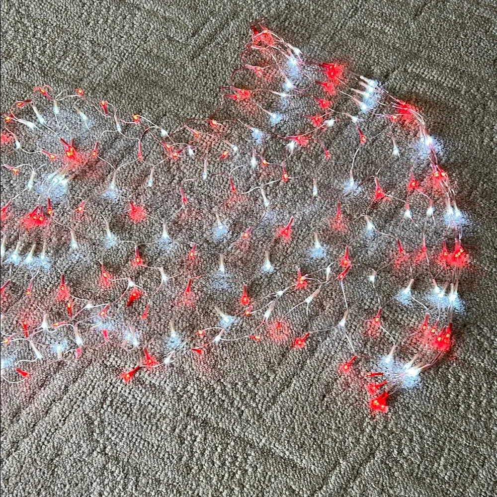 American Flag Festive Led Lights